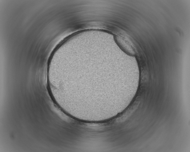 X0000112771132200910011231