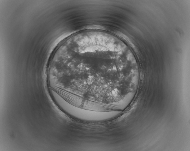 X0000112771133200910011231