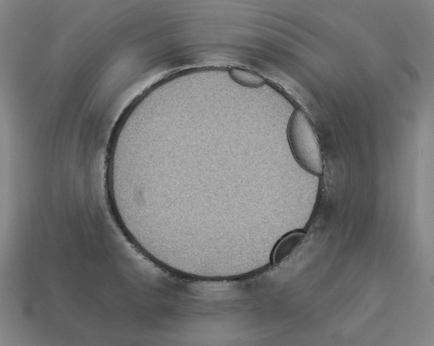 X0000112771134200910011231