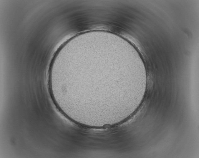 X0000112771135200910011231