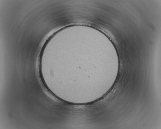 X0000112771136200910011231