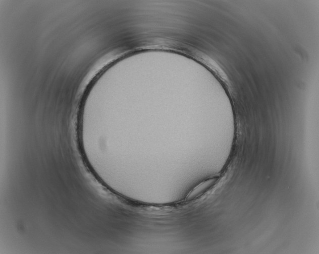 X0000112771138200910011231