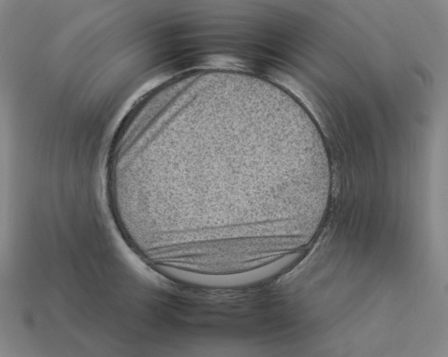 X0000112771139200910011231