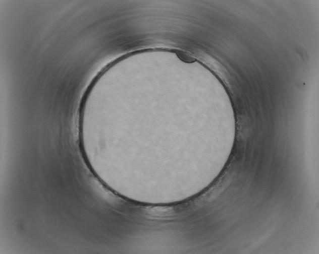 X0000112771140200910011231