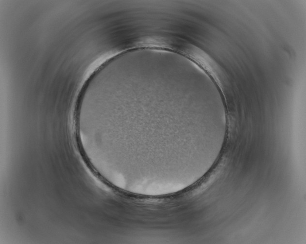 X0000112771141200910011231