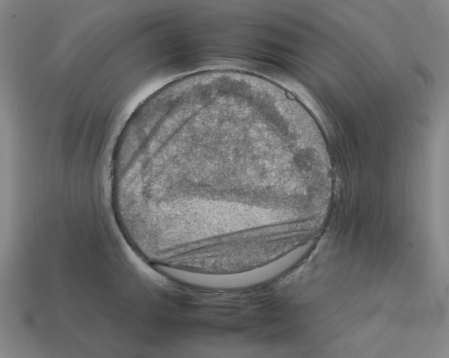 X0000112771143200910011231