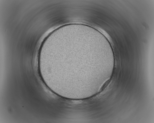 X0000112771144200910011231