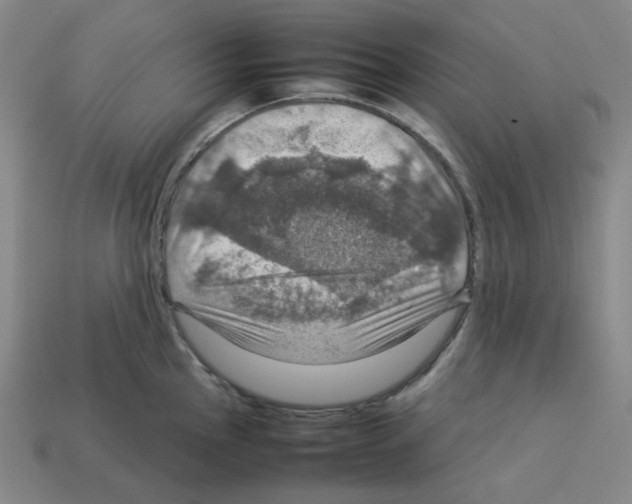 X0000112771145200910011231