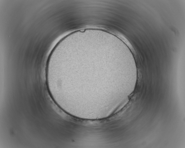 X0000112771148200910011231