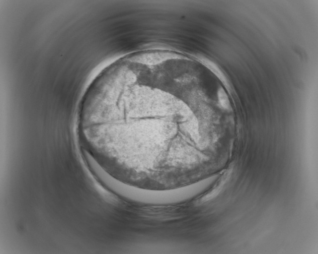 X0000112771149200910011231