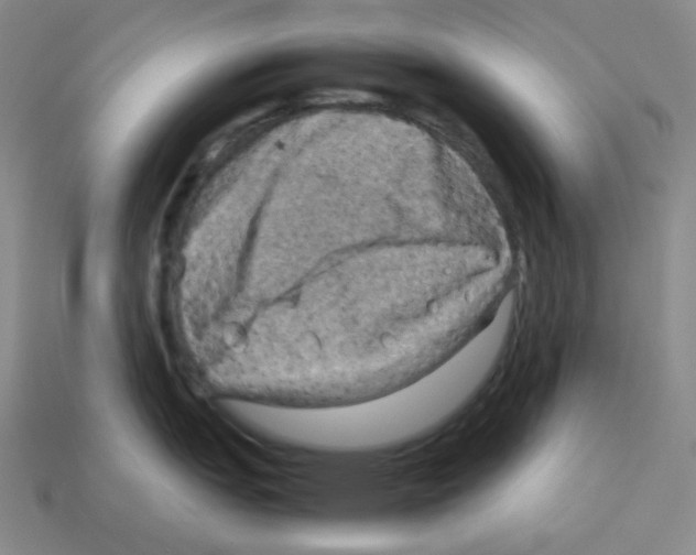 X0000112771151200910011231