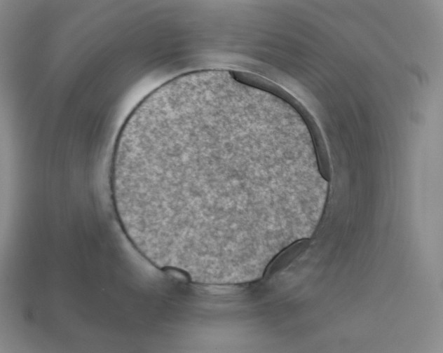 X0000112771152200910011231