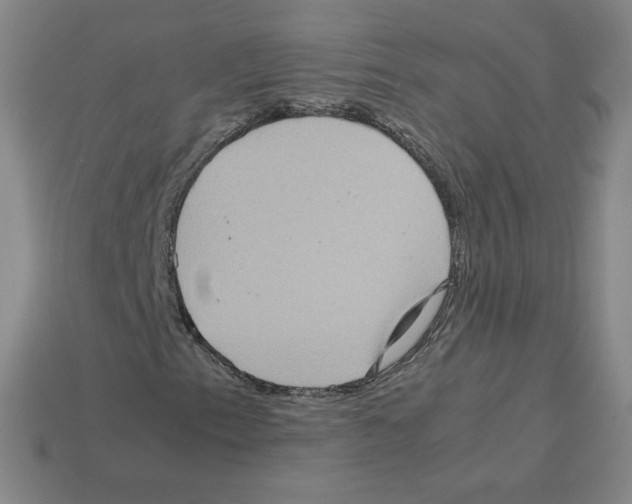 X0000112771153200910011230