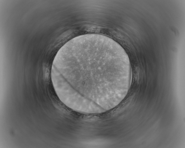 X0000112771154200910011230