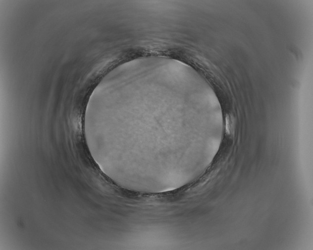 X0000112771155200910011230