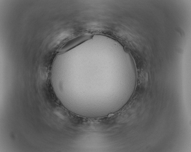 X0000112771157200910011230