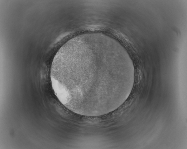 X0000112771158200910011230