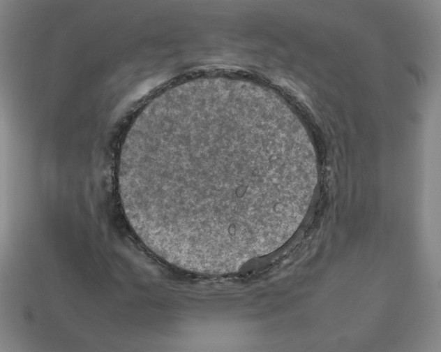 X0000112771159200910011230