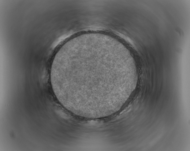 X0000112771160200910011230