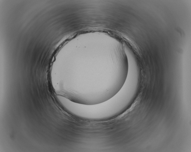 X0000112771162200910011230