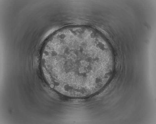 X0000112771163200910011230