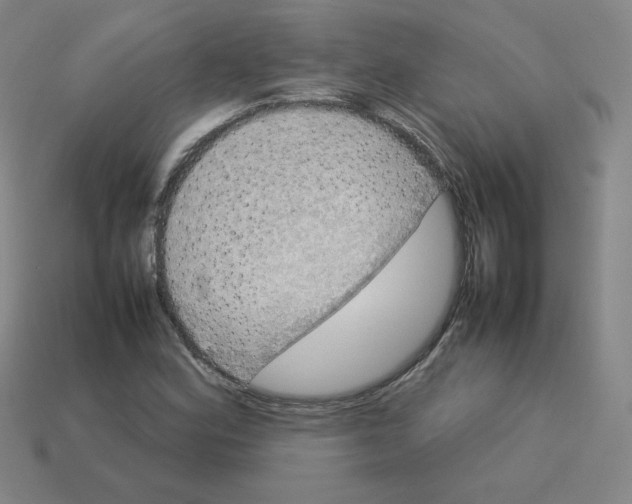 X0000112771164200910011230