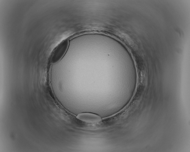 X0000112771165200910011230