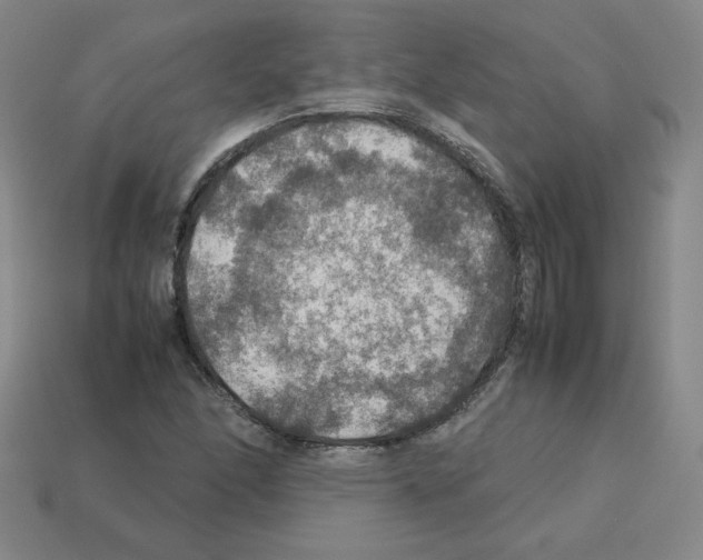 X0000112771166200910011230