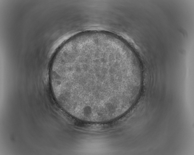 X0000112771167200910011230