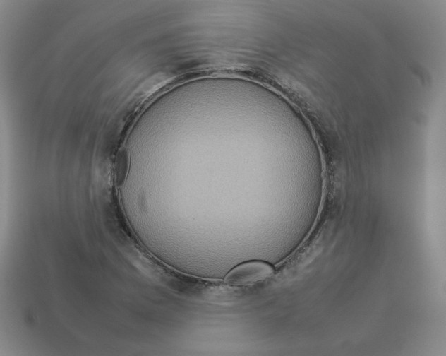 X0000112771169200910011230