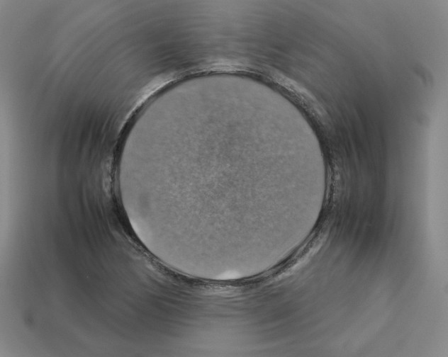 X0000112771170200910011230