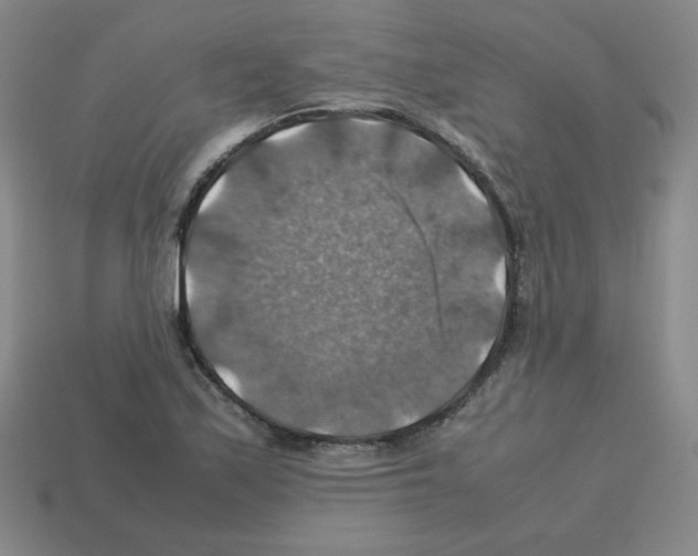 X0000112771171200910011230