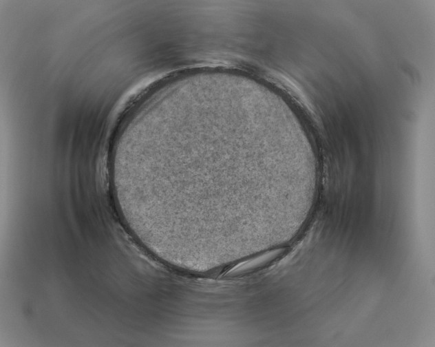 X0000112771172200910011230