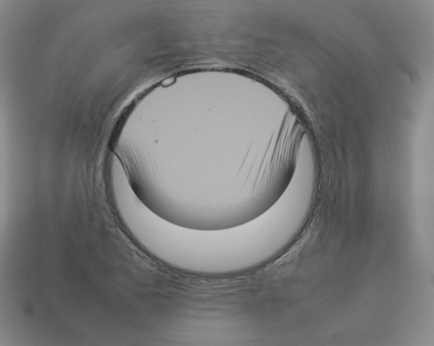 X0000112771173200910011230