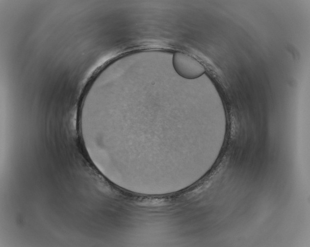 X0000112771174200910011230