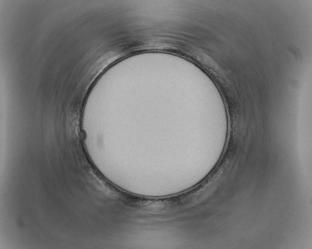 X0000112771177200910011230