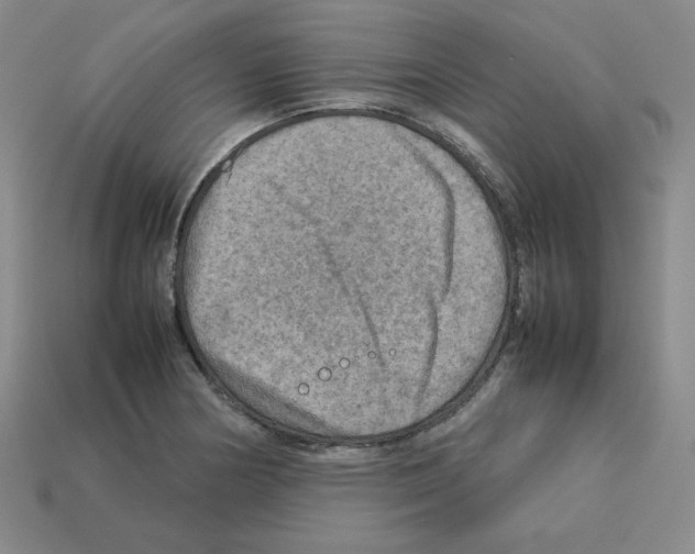 X0000112771178200910011230