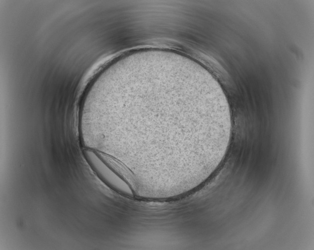 X0000112771180200910011230