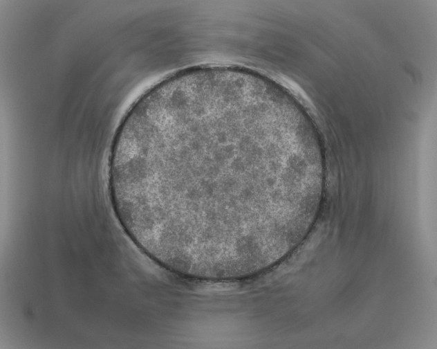 X0000112771183200910011230