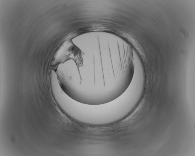 X0000112771185200910011230