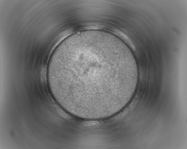 X0000112771186200910011230