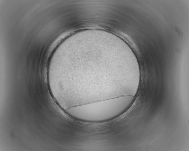 X0000112771188200910011230