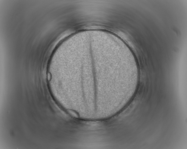 X0000112771189200910011230