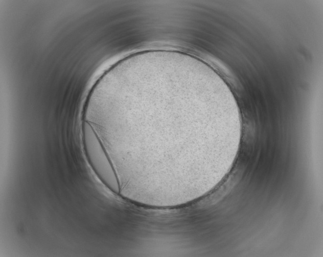 X0000112771192200910011230