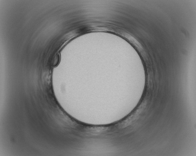 X0000112771193200910011230