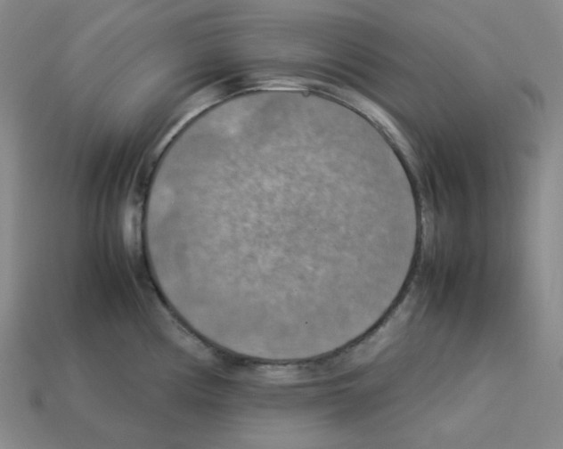 X0000112771194200910011230