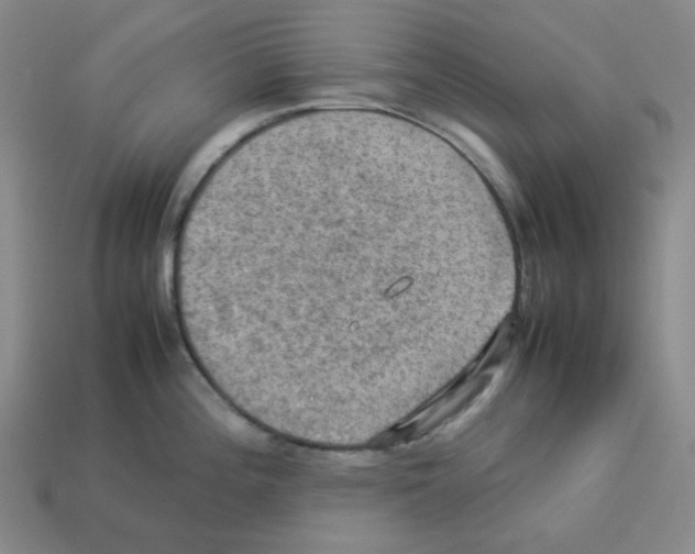 X0000112771196200910011230