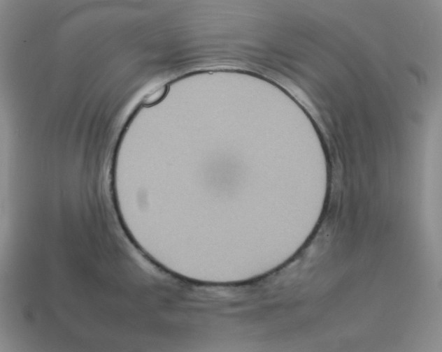 X0000112771197200910011230