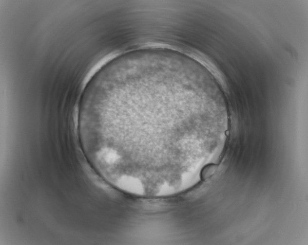 X0000112771198200910011230