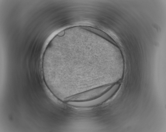 X0000112771200200910011230